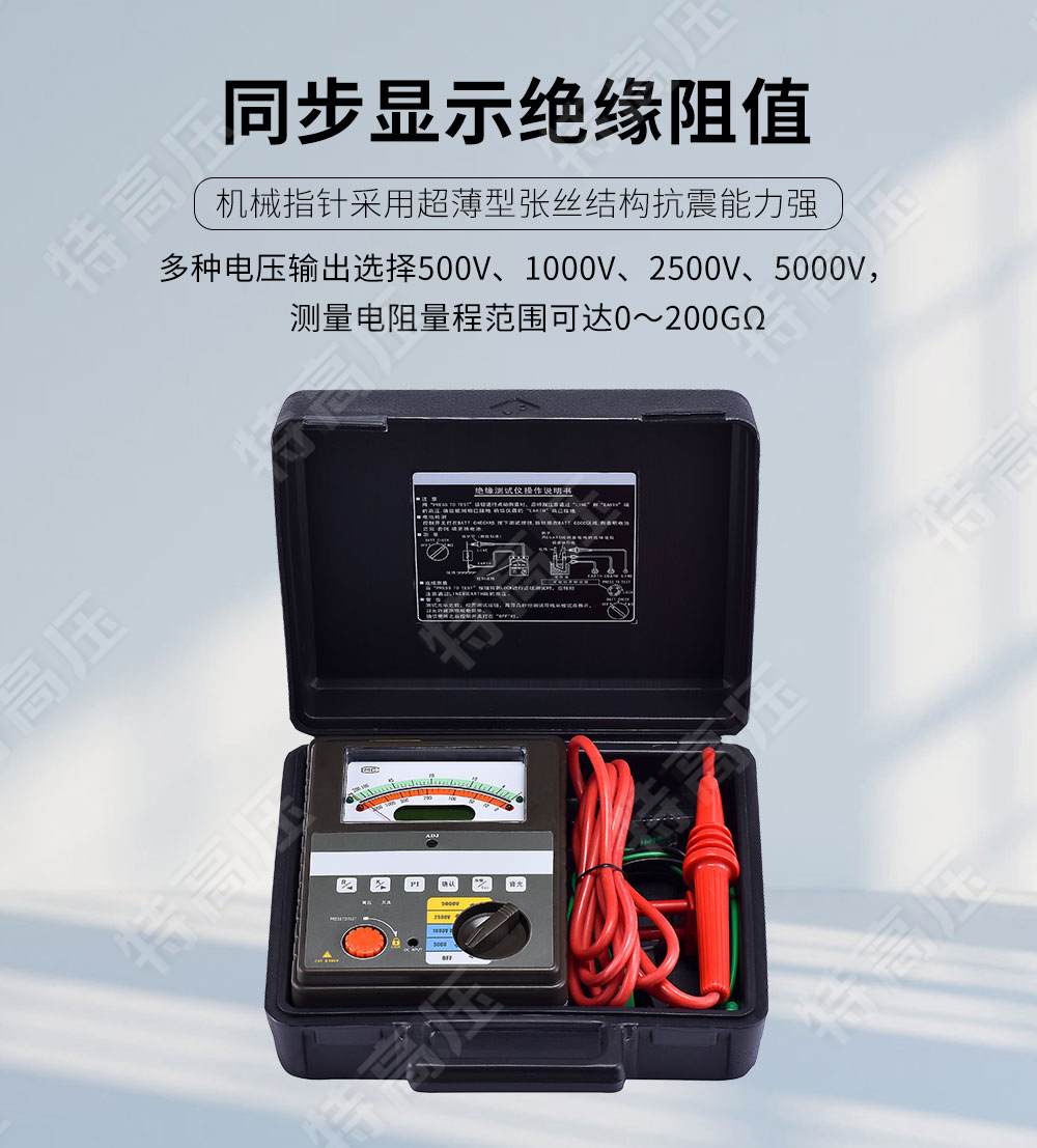 絕緣電阻測(cè)試儀