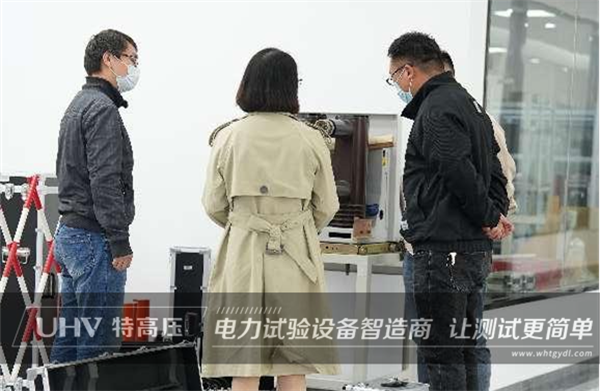 貴客臨門！熱烈歡迎江蘇客戶來訪特高壓電力實(shí)地考察(圖1)