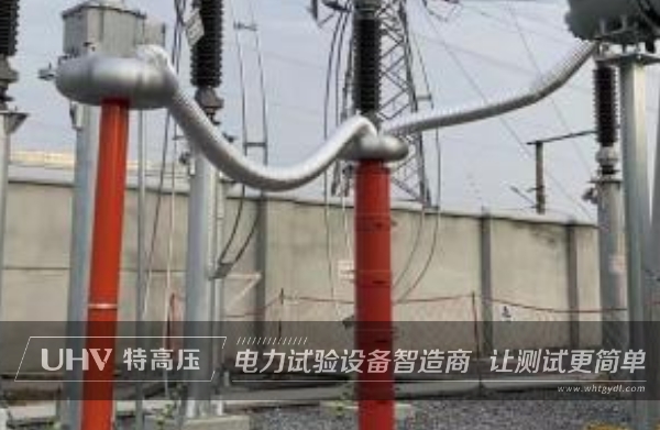 技術(shù)人員高專業(yè)度備受贊賞，成功助力仙桃變電站GIS電力交接性試驗(yàn)！(圖1)