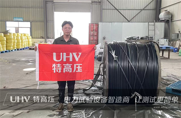 直擊售后現(xiàn)場！武漢特高壓售后團(tuán)隊為河南客戶提供技術(shù)支持(圖1)